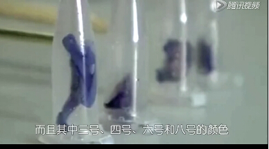 视频中国食品安全揭示十大街边小吃秘密.rar