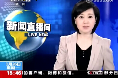 视频CCTV2014年保费收入突破2万亿元大关.rar